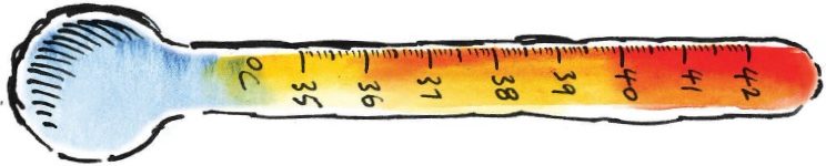 Thermometer bar